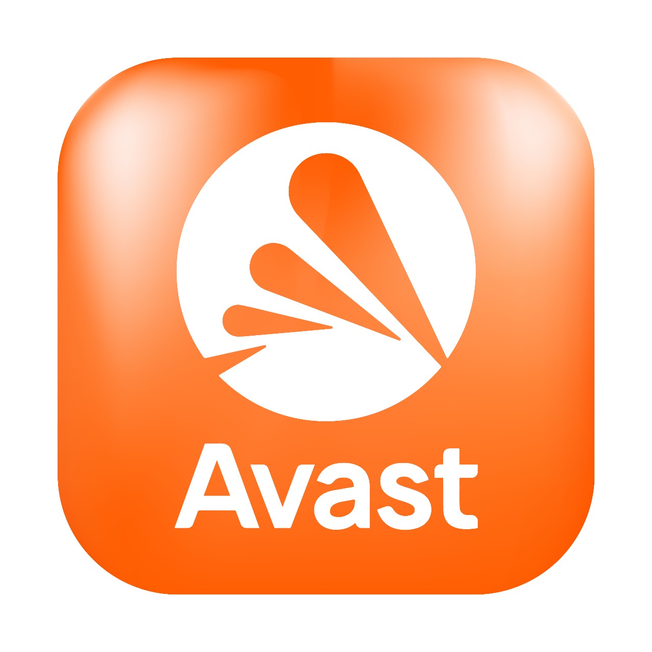 Logo 1